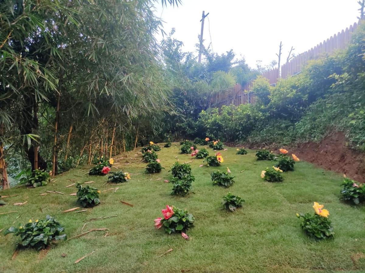 Misty Rain Estate Hotel Madikeri Kültér fotó