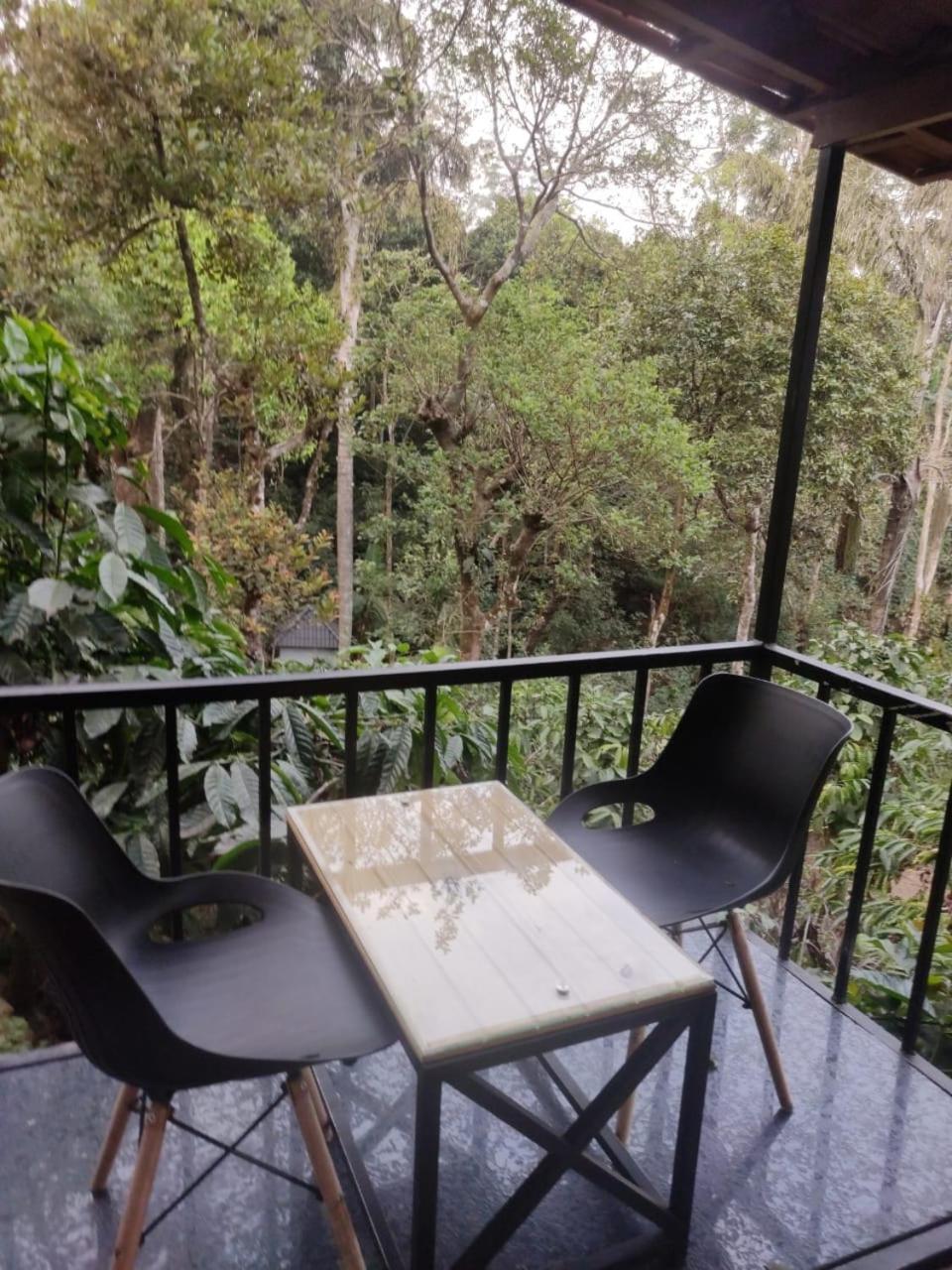 Misty Rain Estate Hotel Madikeri Kültér fotó