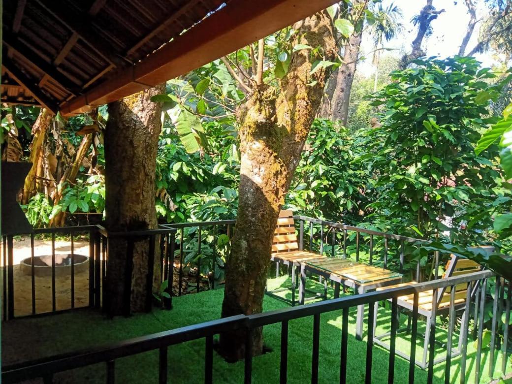 Misty Rain Estate Hotel Madikeri Kültér fotó