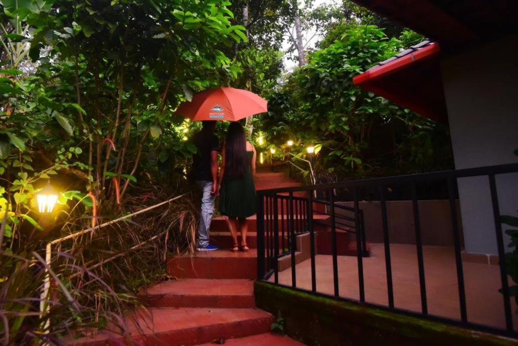 Misty Rain Estate Hotel Madikeri Kültér fotó