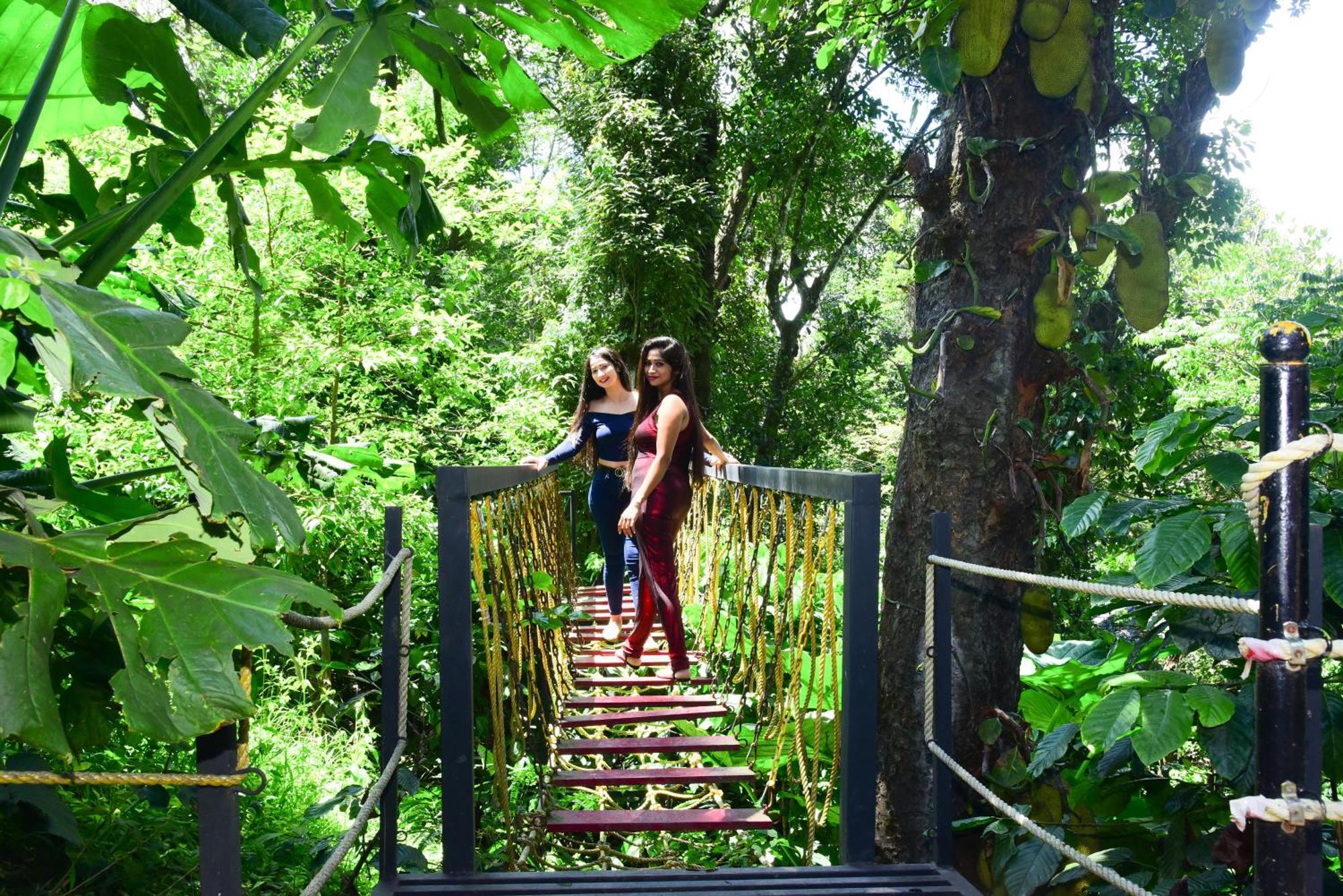 Misty Rain Estate Hotel Madikeri Kültér fotó