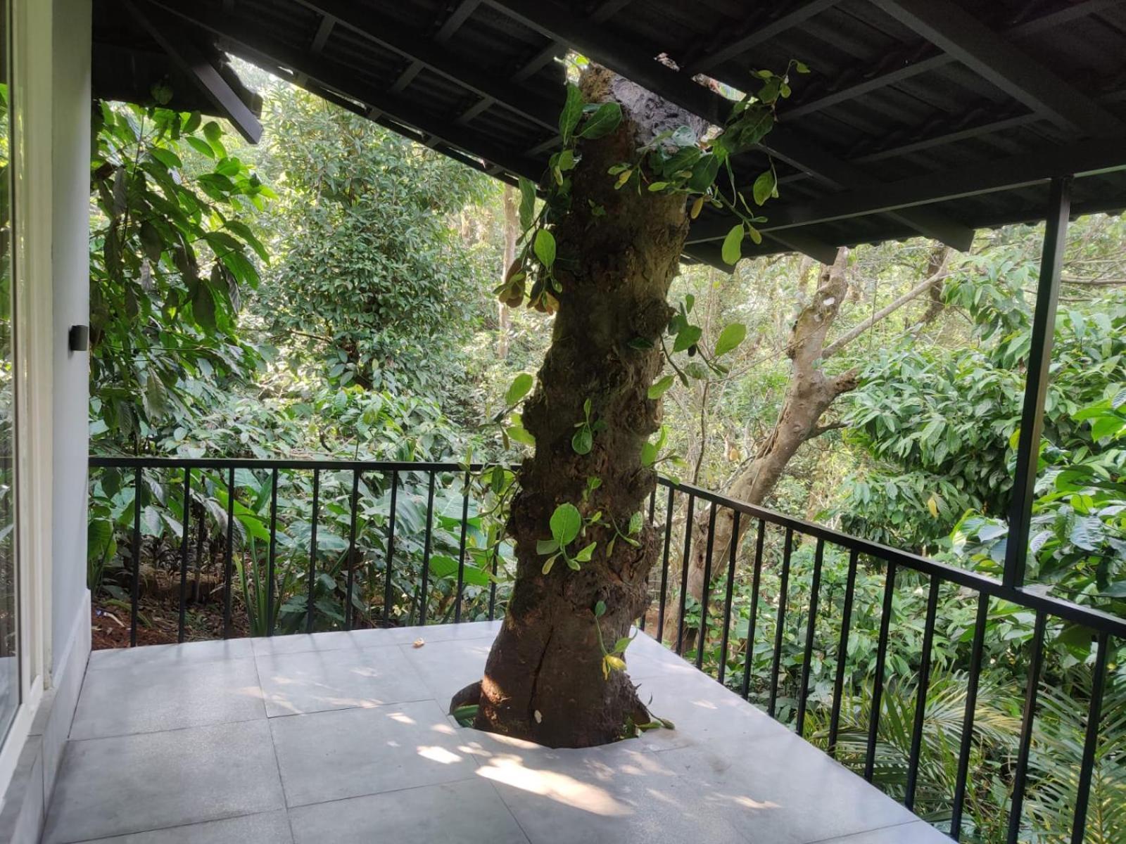 Misty Rain Estate Hotel Madikeri Kültér fotó