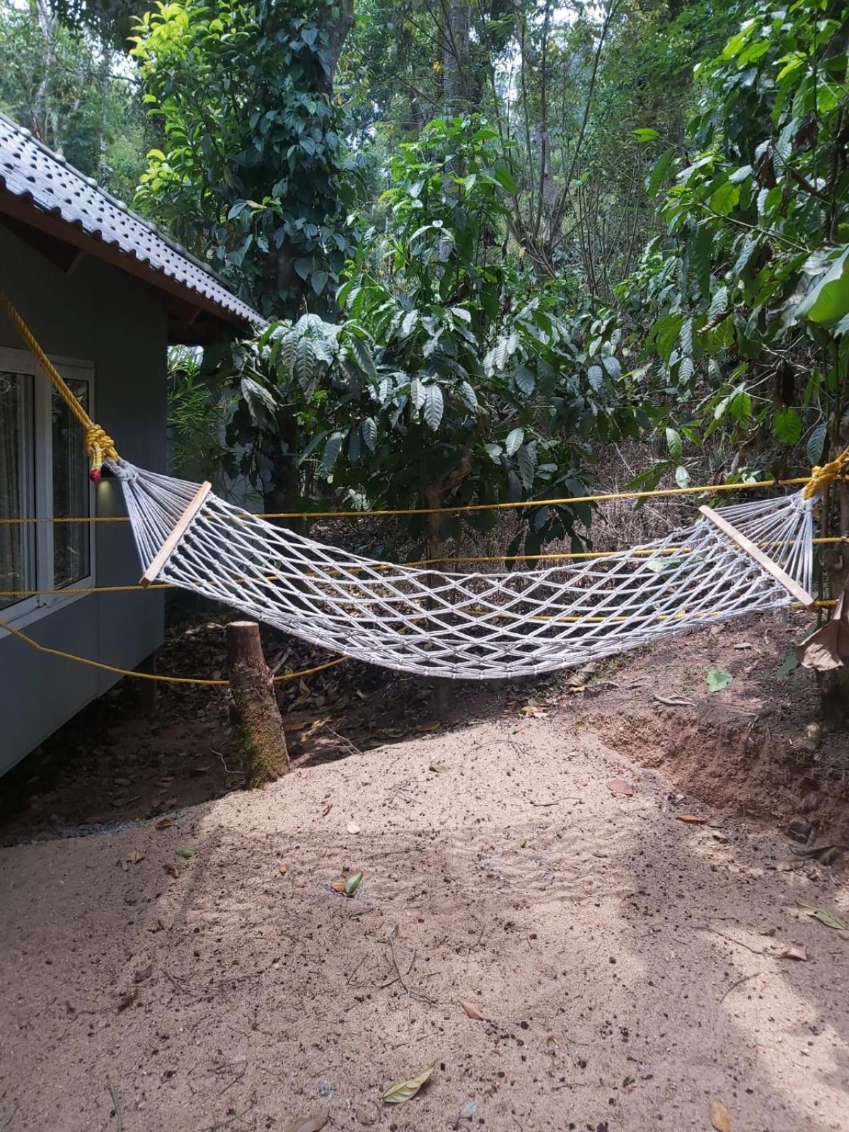 Misty Rain Estate Hotel Madikeri Kültér fotó
